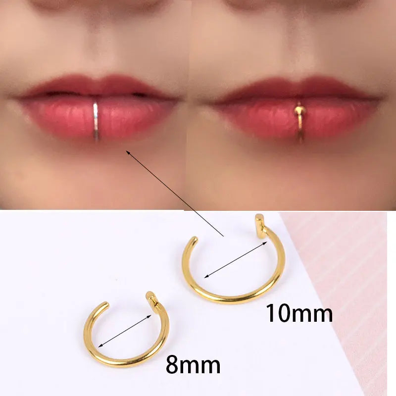 2Pcs 316L Stainless Steel Fake Nose Ring, Nose Cuffs Fake Septum Rings Clip On Nose Hoop Lip Rings Conch Earring Body Jewelry