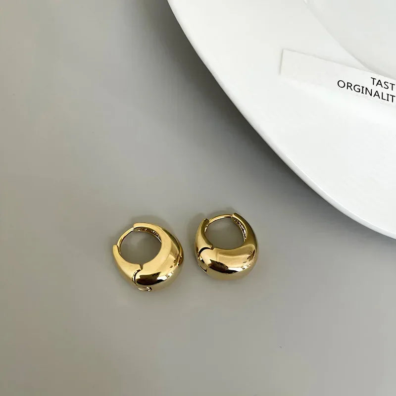 Stainless Steel Smooth Metal Chunky Hoop Earrings For Women Girls Fashion Round Circle Hoops Statement Earrings Punk Jewelry