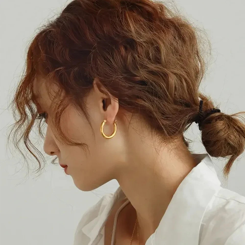 Earrings for Women 2024 Trending Stainless Steel Hoop Earrings for Women Men Simple Big Hoops Gold Color Silver Color Wholesale